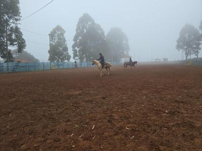 Curso de casqueamento em cavalos Ã© realizado em Nova Laranjeiras